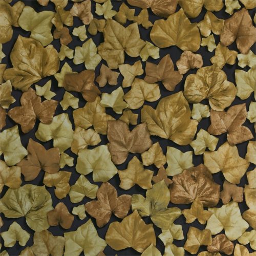 Ivy Leaf 310981